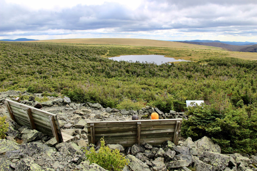 sommet panorama mont albert parc gaspesie