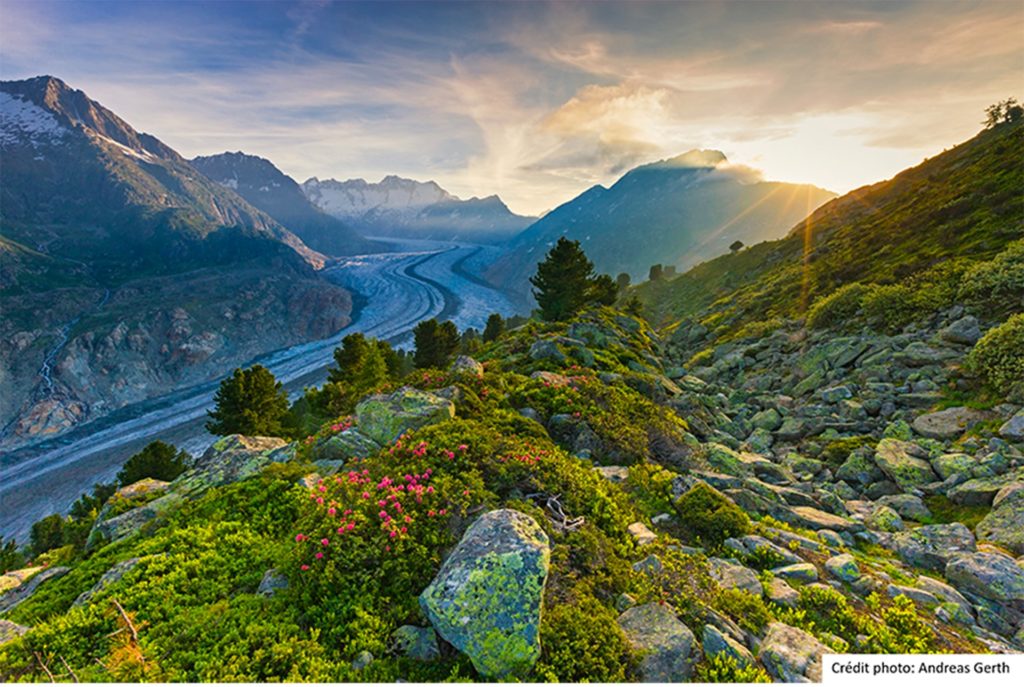 Glacier d'Altesch par Andreas-Gerth Suisse