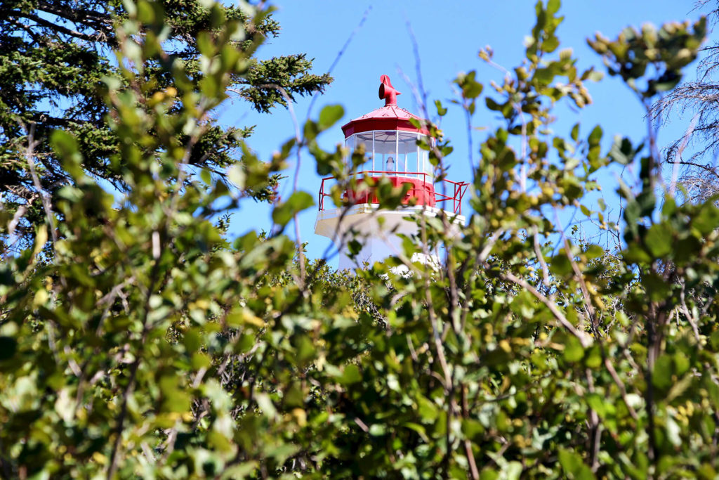 Cap-Gaspé Bout du Monde Parc Forillon