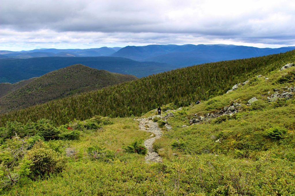 tour mont albert parc gaspesie