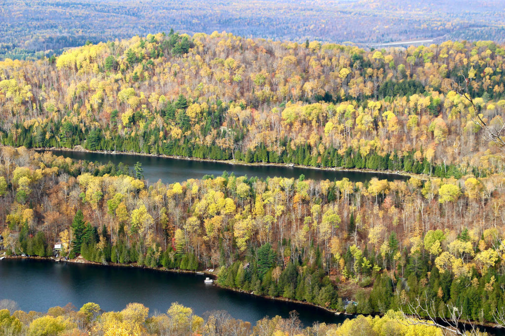 Montagne Verte Mont Tremblant