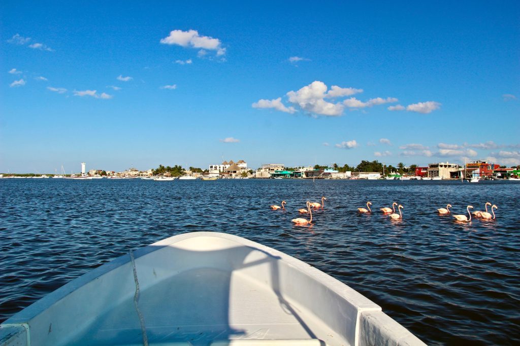 rio lagartos flamants roses yucatan