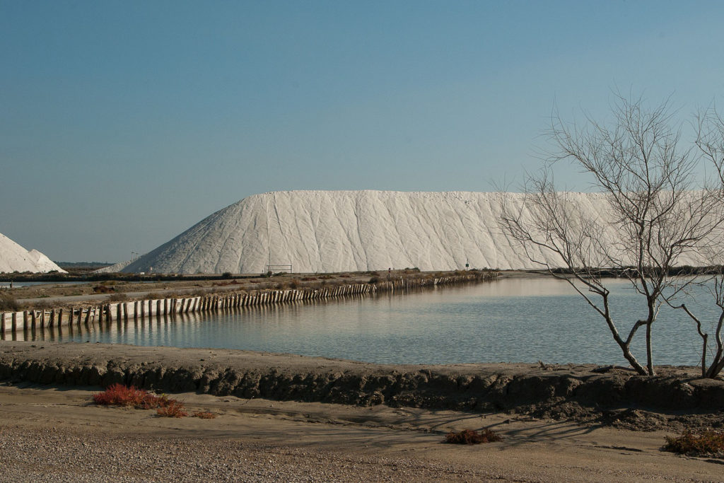 Camargue en été - Sel