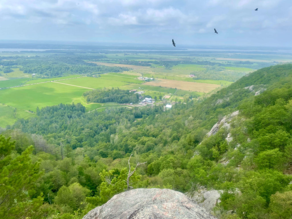 Sentier des Loups dans le Parc de la Gatineau