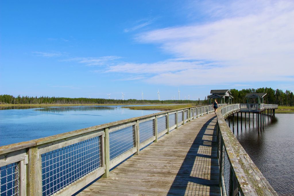 Passerelle eco park Miscou Lameque Nouveau-Brunswick