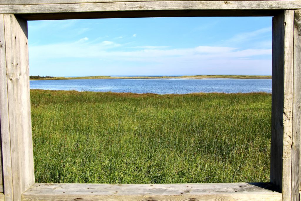 Vue Lac Frye Road trip Nouveau Brunswick