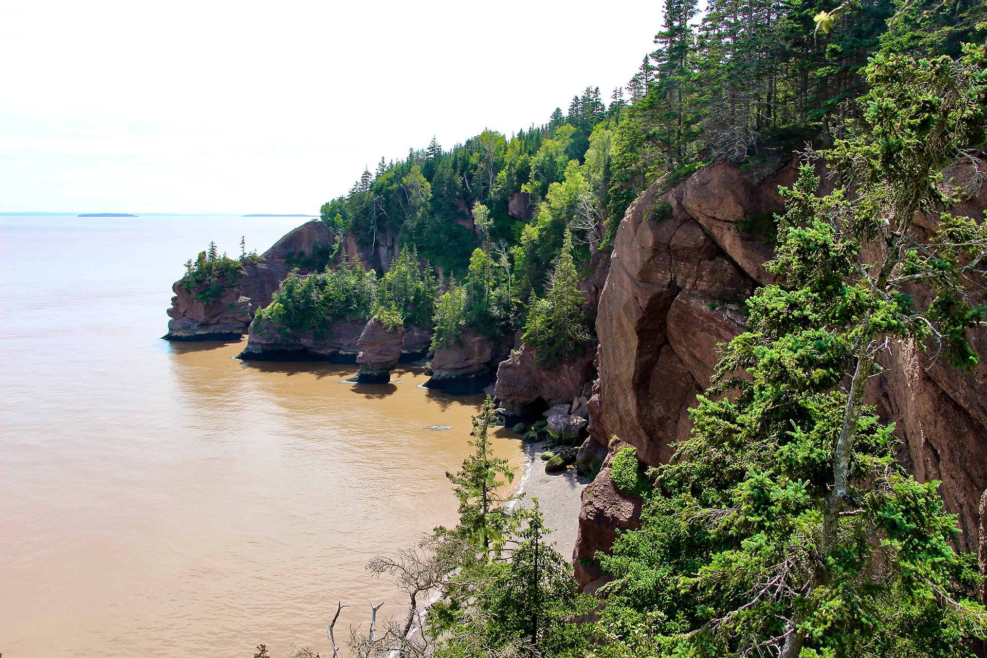 falaises maree haute Hopewell Rocks Fundy