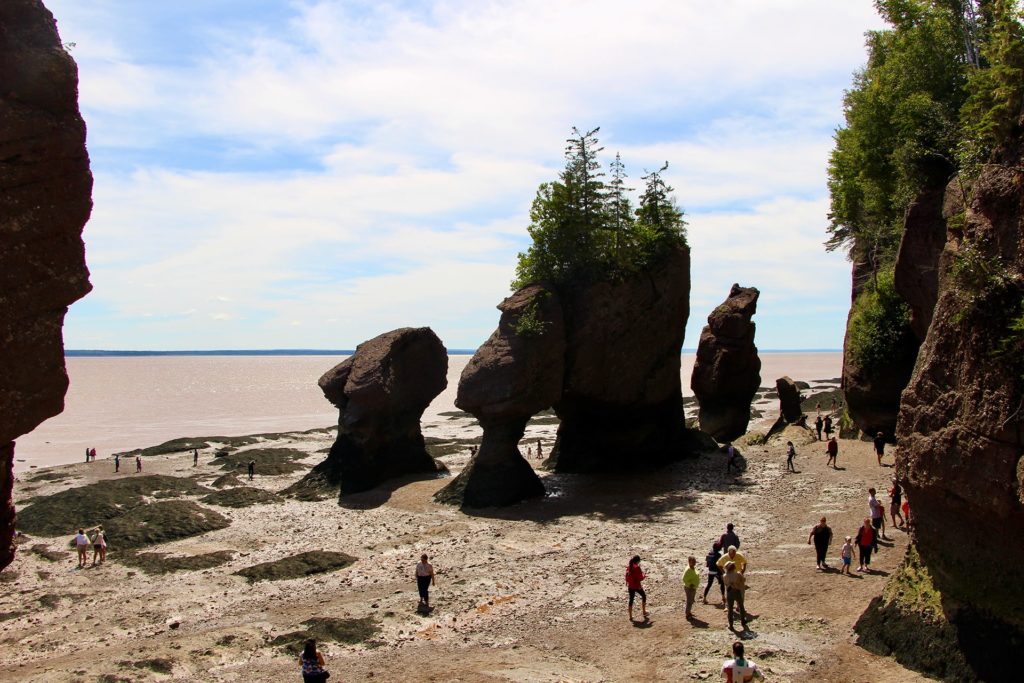 maree basse Hopewell Rocks baie Fundy