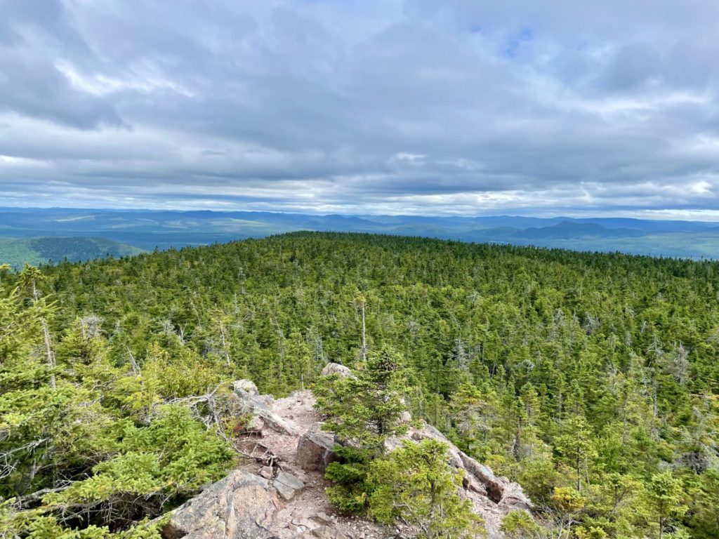 panorama parc du mont carleton nouveau brunswick