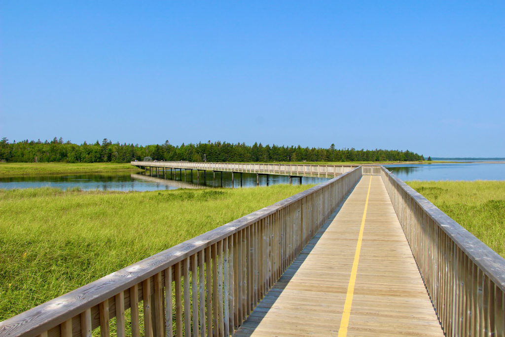 passerelle plage kellys parc national kouchibouguac