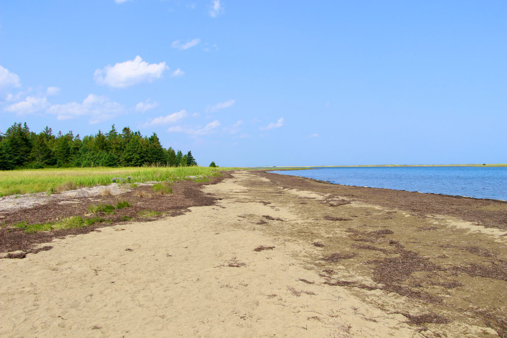 plage callenders parc national kouchibouguac