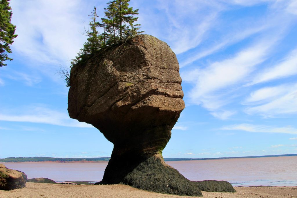 pot de fleur parc Hopewell Rocks Fundy