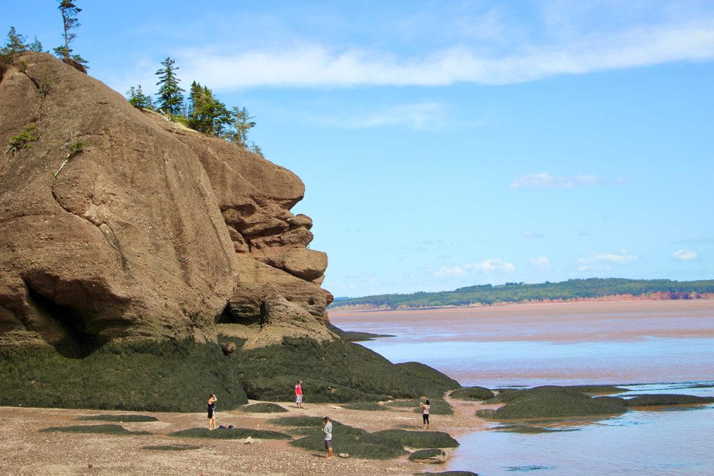 maree basse Hopewell Rocks baie Fundy