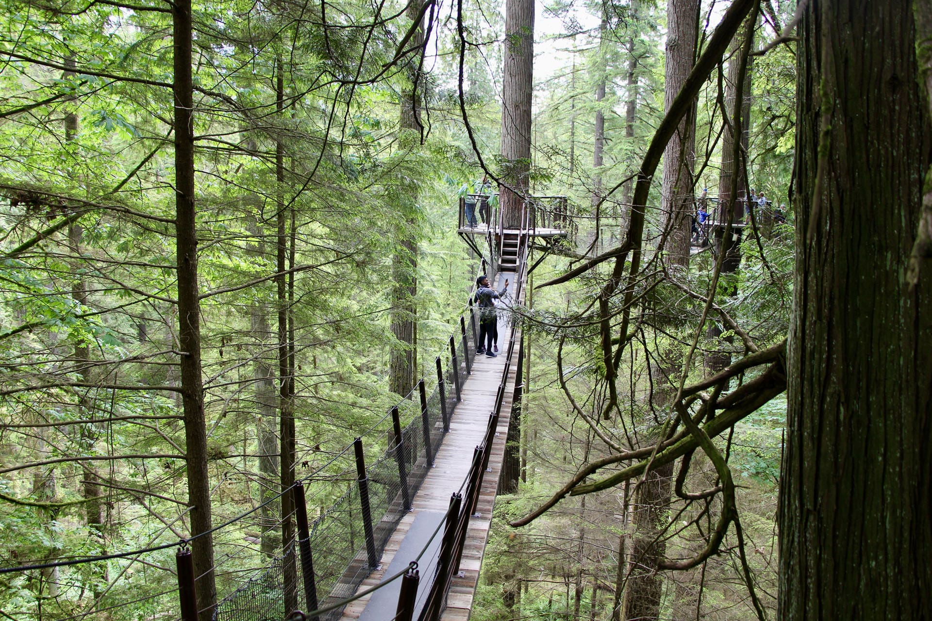 Capilano Suspension Vancouver