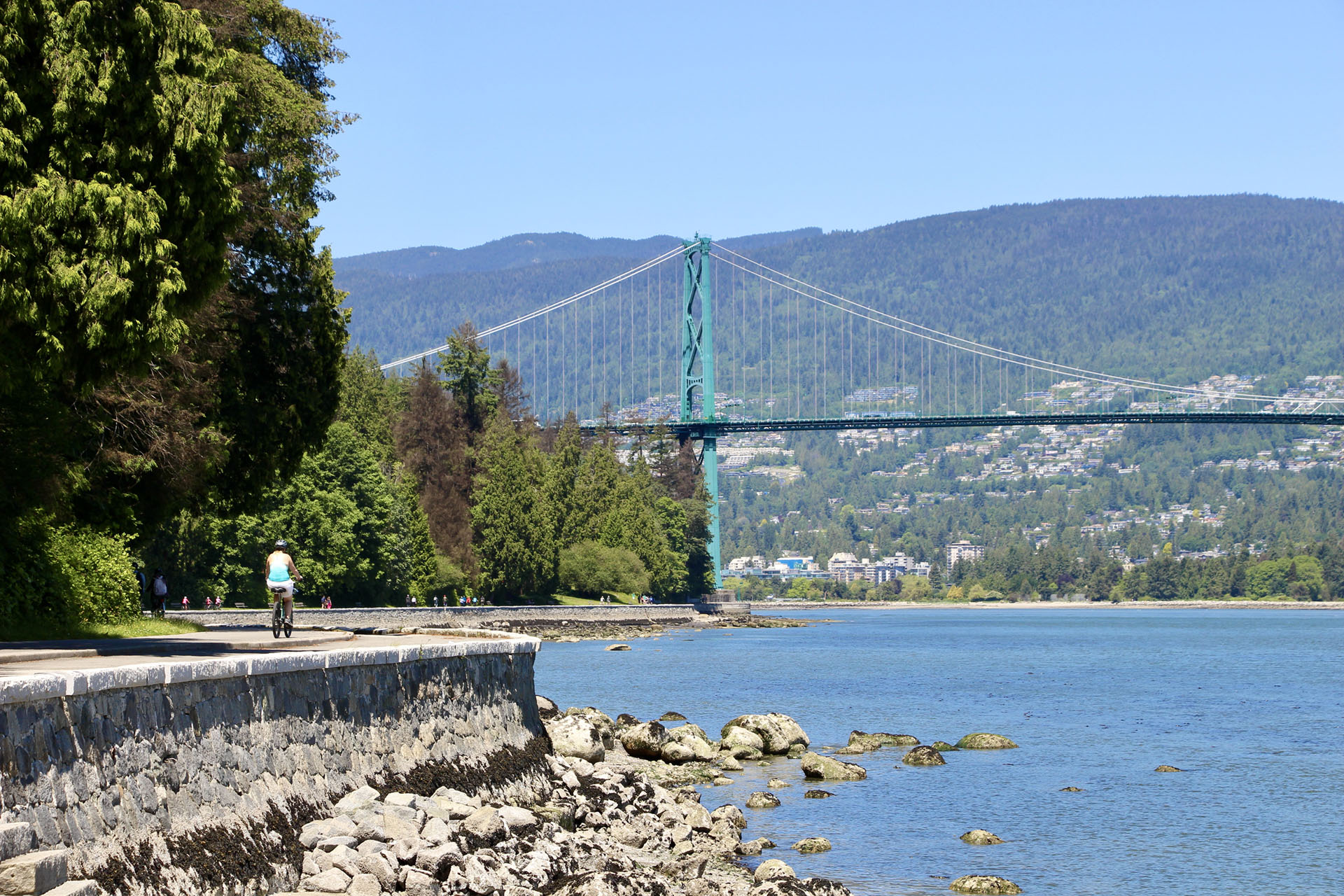 Lions Gate Bridge Park Stanley Vancouver