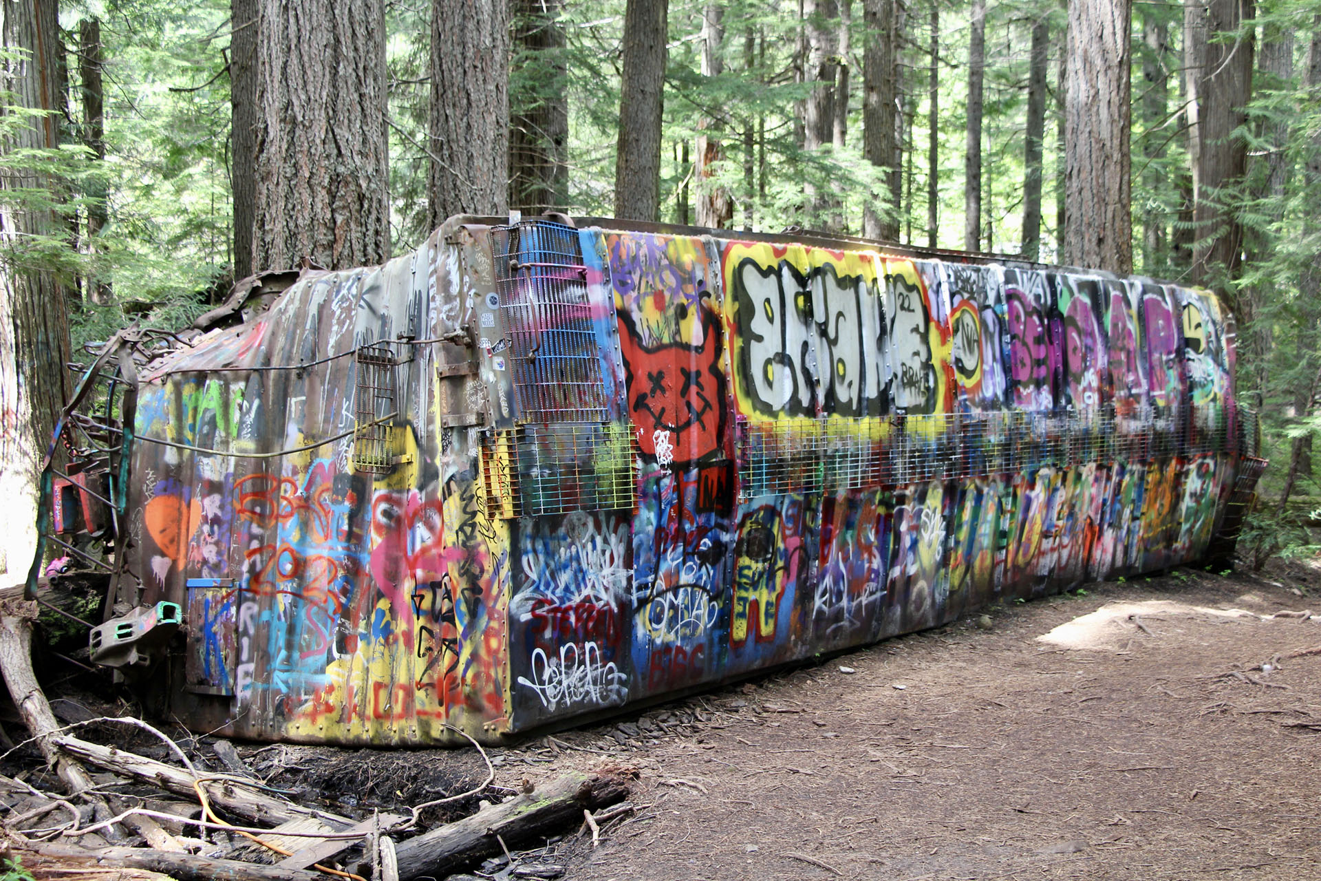 Whistler Train Wreck