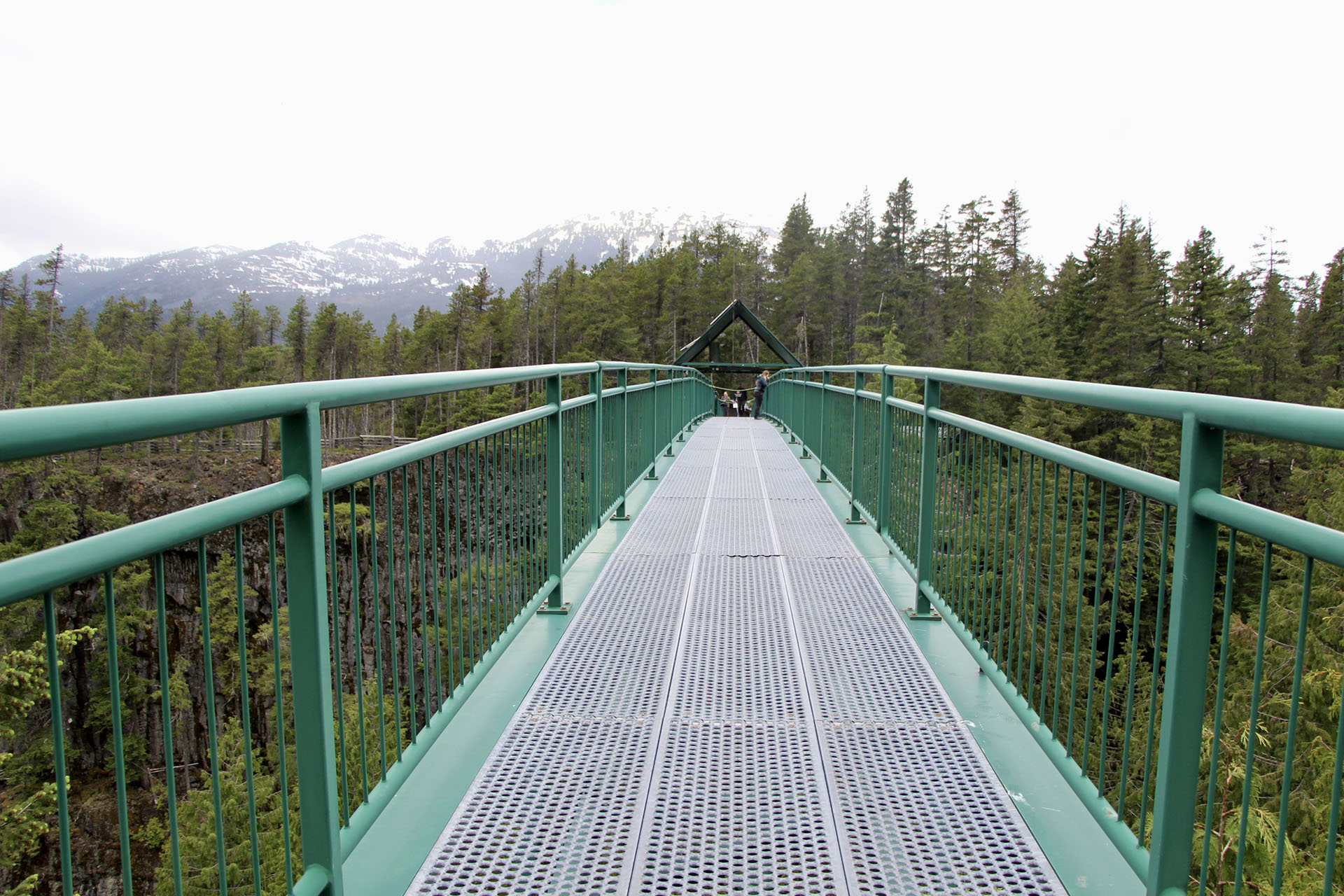 bungee bridge Brandywine Falls Provincial Park Whistler