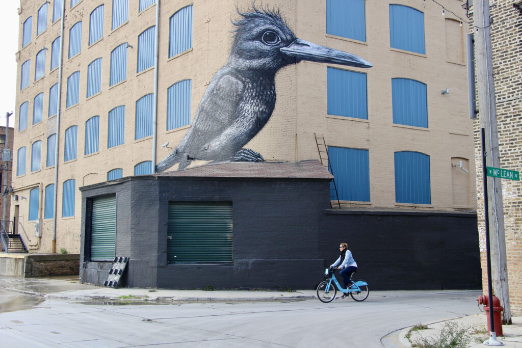 street art chicago roa