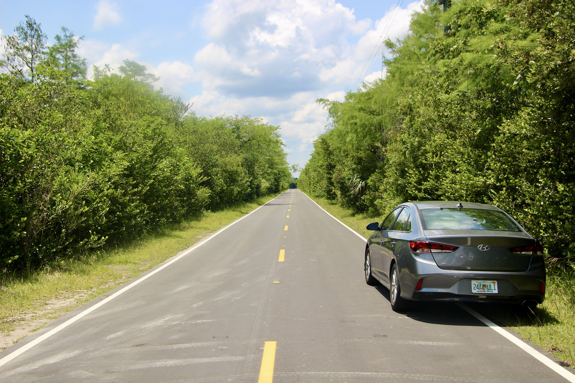 loop road scenic drive everglades