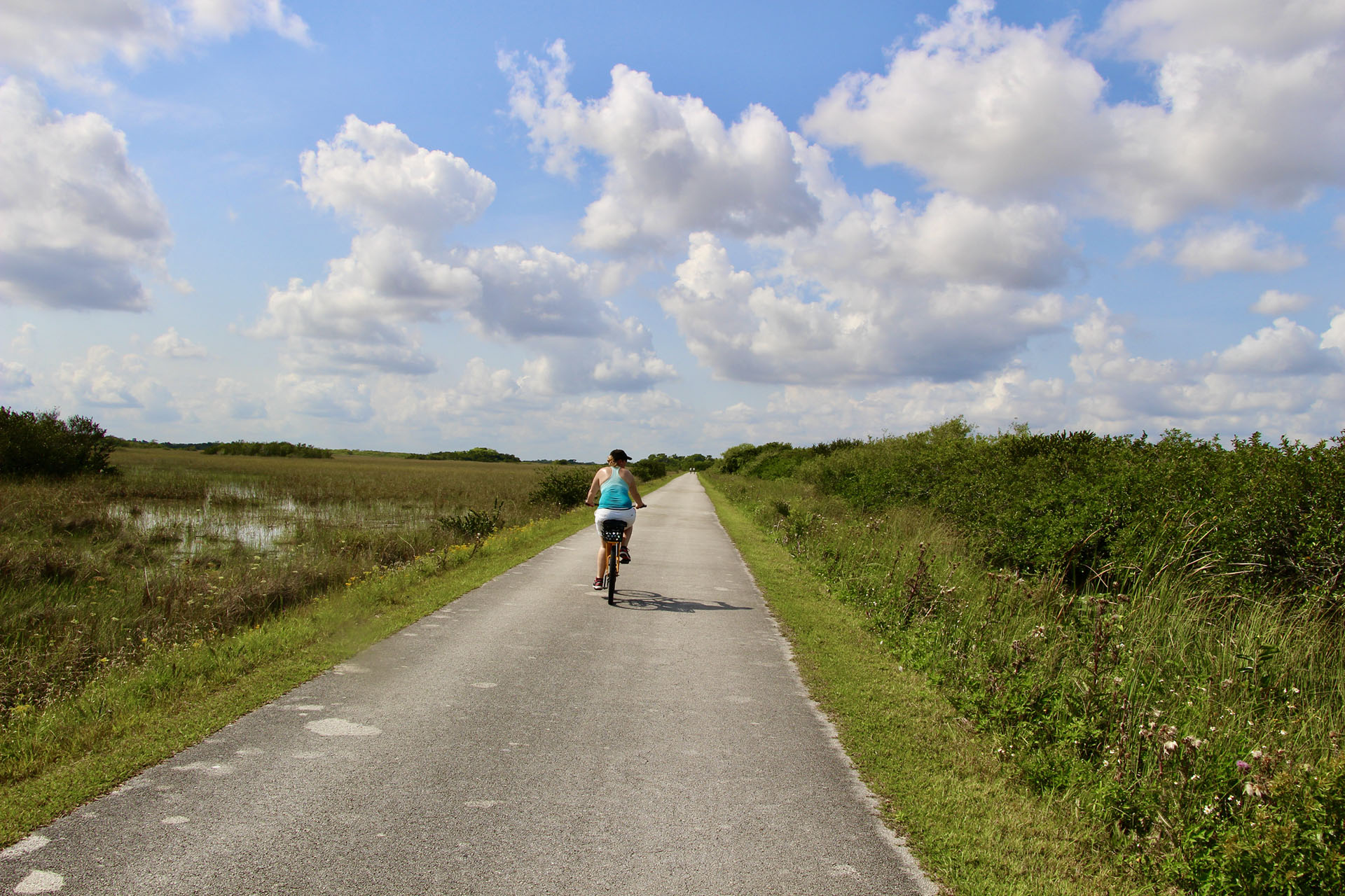 shark valley everglades