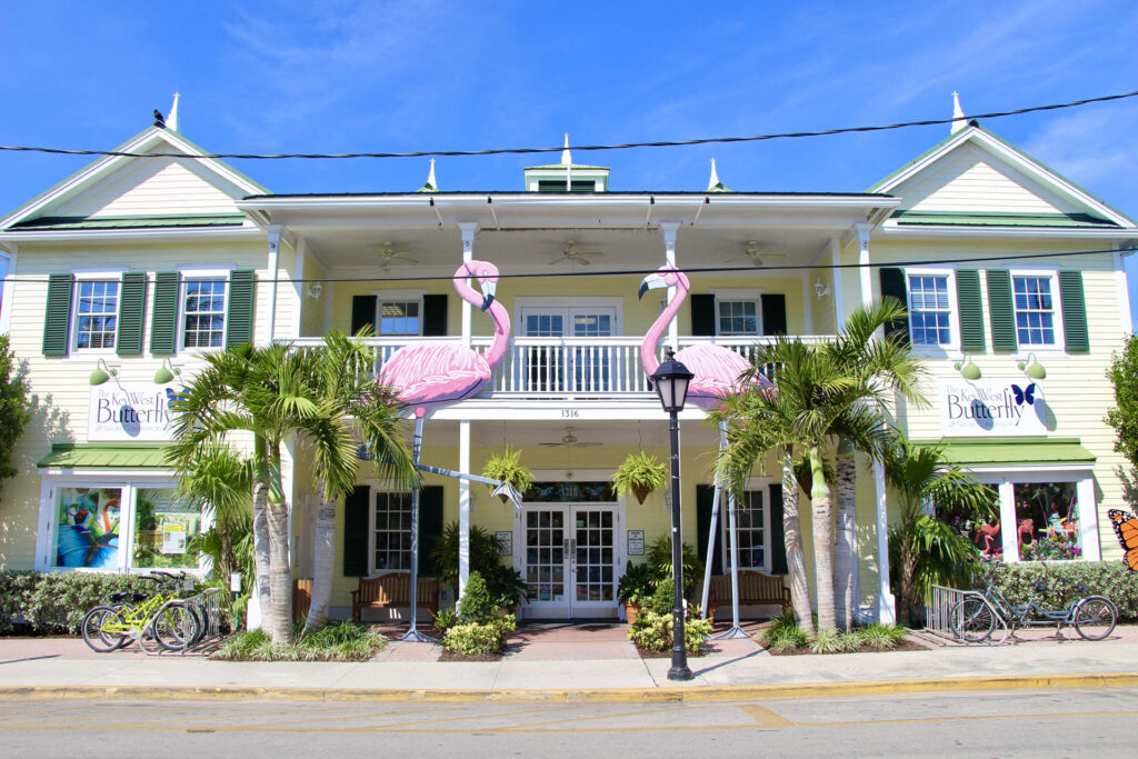 Duval Street - Key West - Keys - Floride