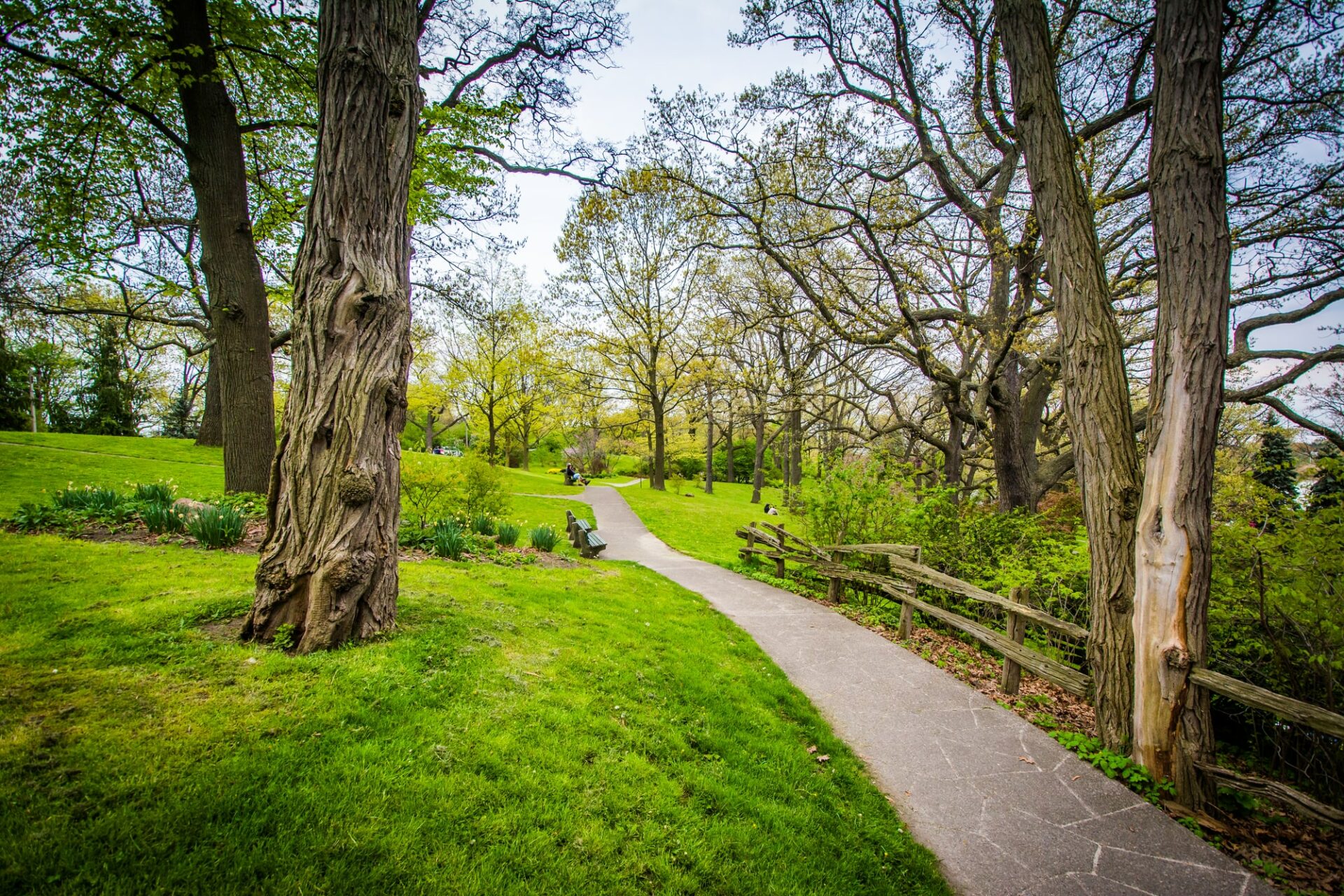 high park toronto