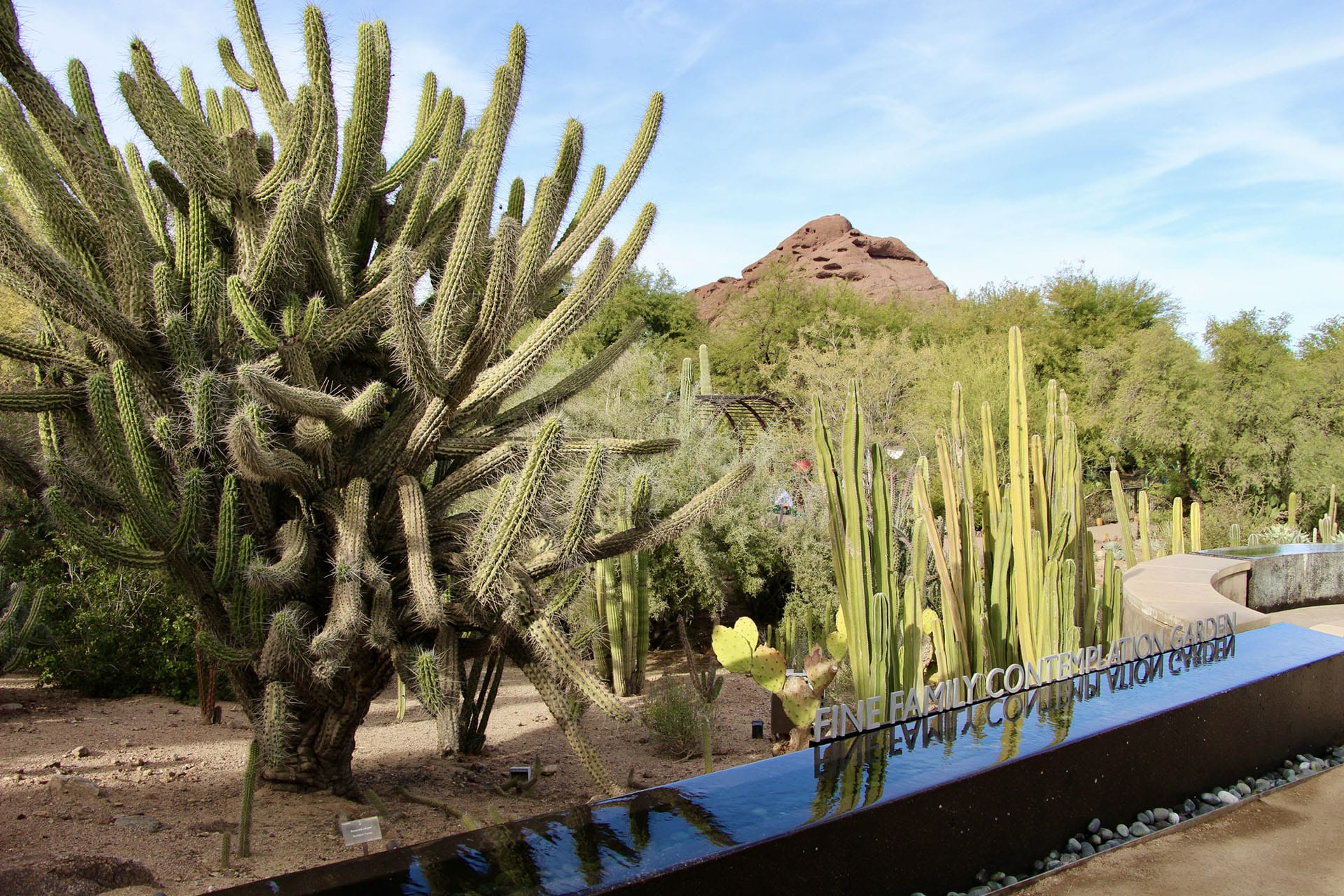 jardin botanique phoenix